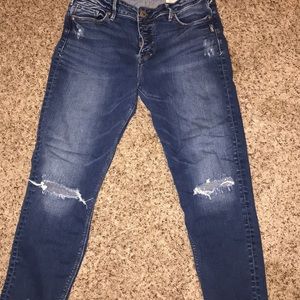 Silver Brand MAZY Skinny Crop Jeans